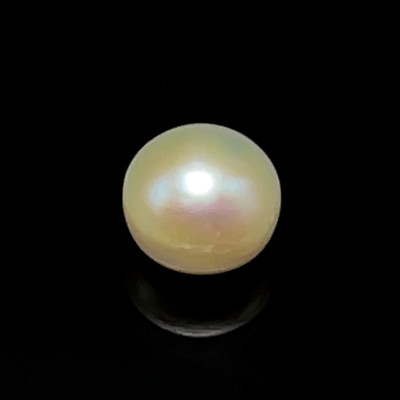 Freshwater Pearl 10.30mm Button/Rondelle Plain Smooth 1 Piece 6.57 Carats Flawless Clarity Cream Color Drilled Pearly Luster Jewelry Making June Birthstone