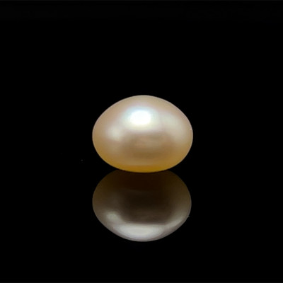Freshwater Pearl 9.70mm Button/Rondelle Plain Smooth 1 Piece 4.84 Carats Flawless Clarity Cream Color Drilled Pearly Luster Jewelry Making June Birthstone
