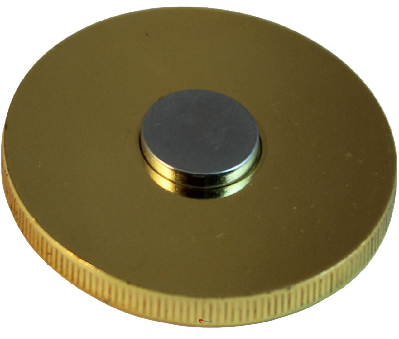 Souvenir Coin Magnet