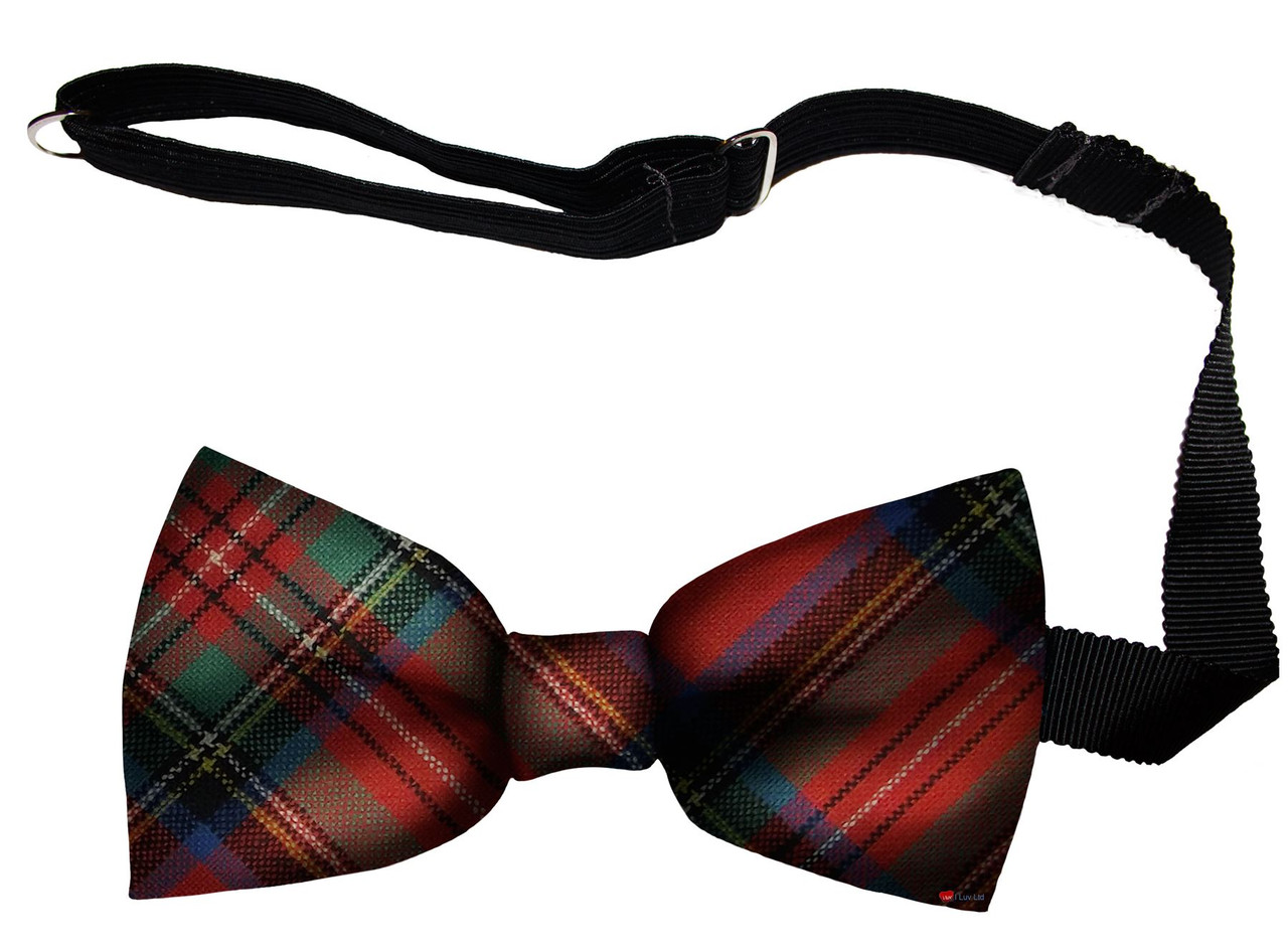 Stewart Royal Ancient Tartan Men's Bow Tie Pure Wool Elastic Fastening