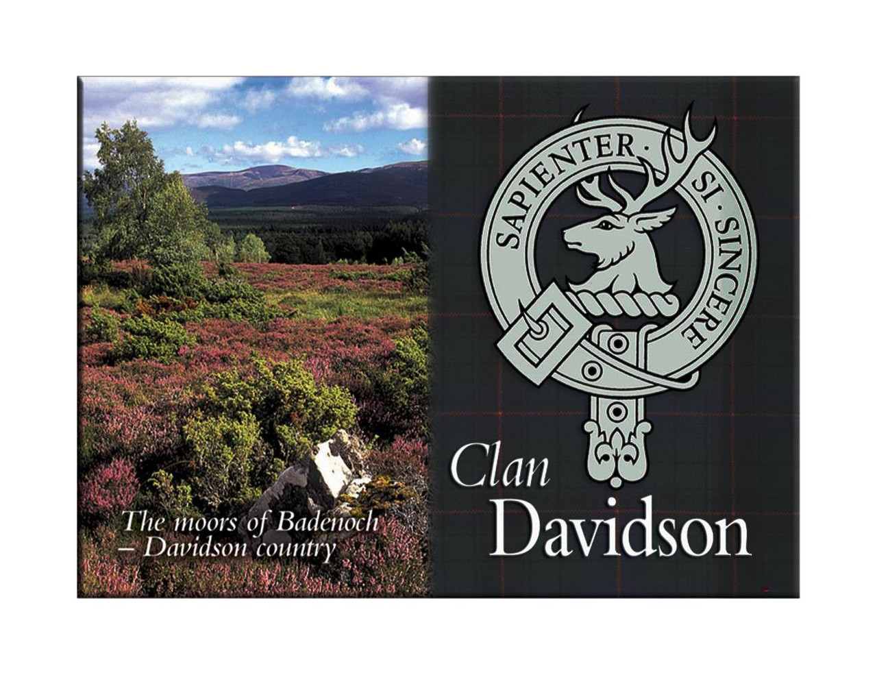 Davidson Scottish Clan Metallic Picture Fridge Magnet, Made in Scotland