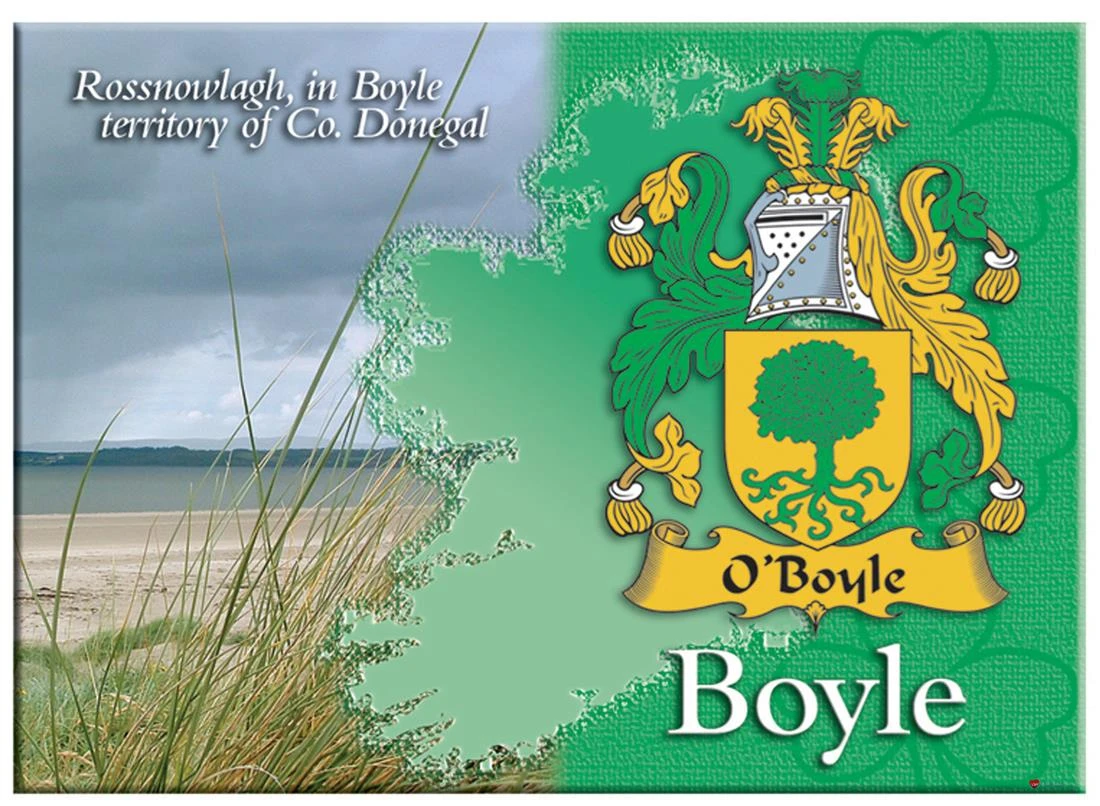 Boyle Irish Clan Metallic Picture Fridge Magnet, Gift From Ireland