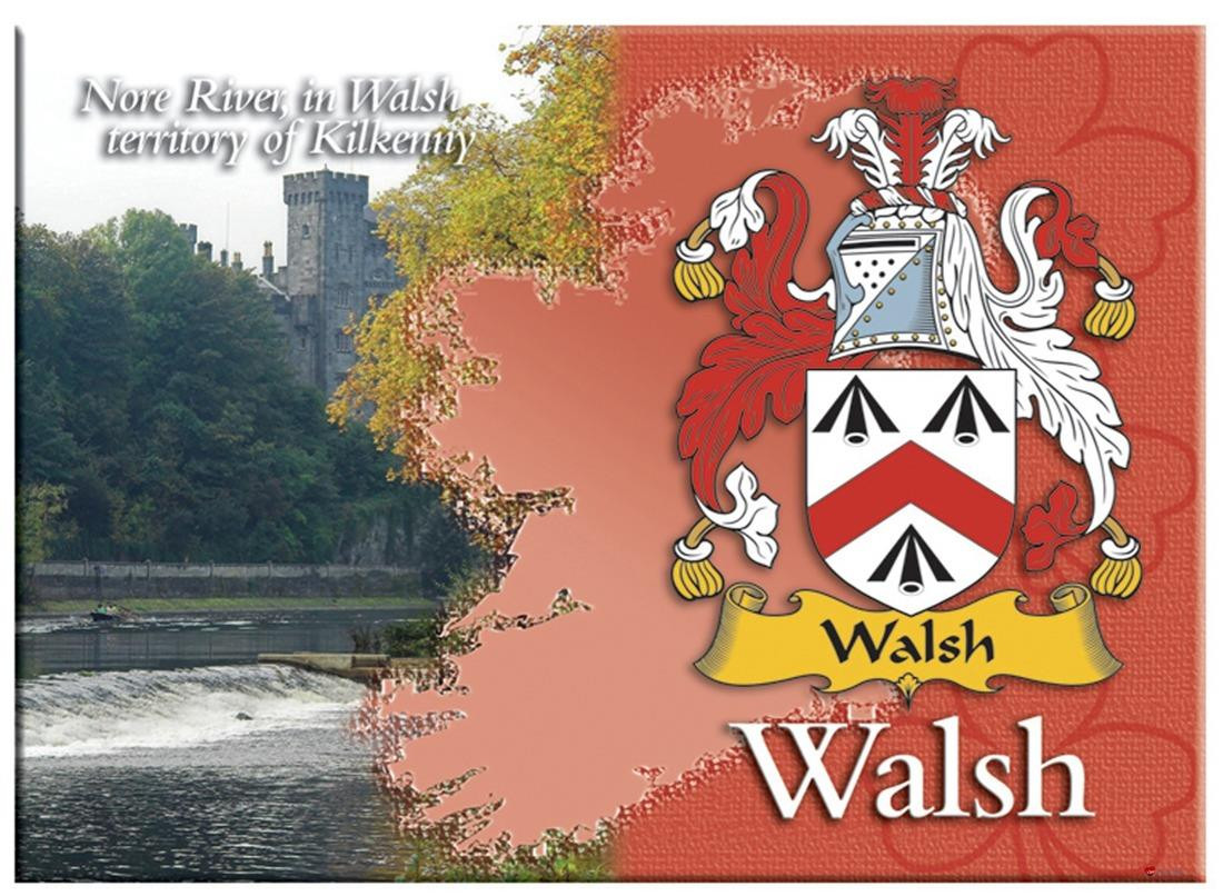 Walsh Irish Clan Metallic Picture Fridge Magnet, Gift From Ireland