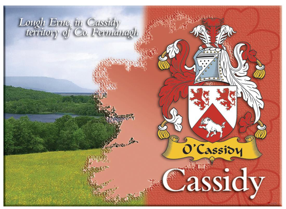 Cassidy Irish Clan Metallic Picture Fridge Magnet, Gift From Ireland