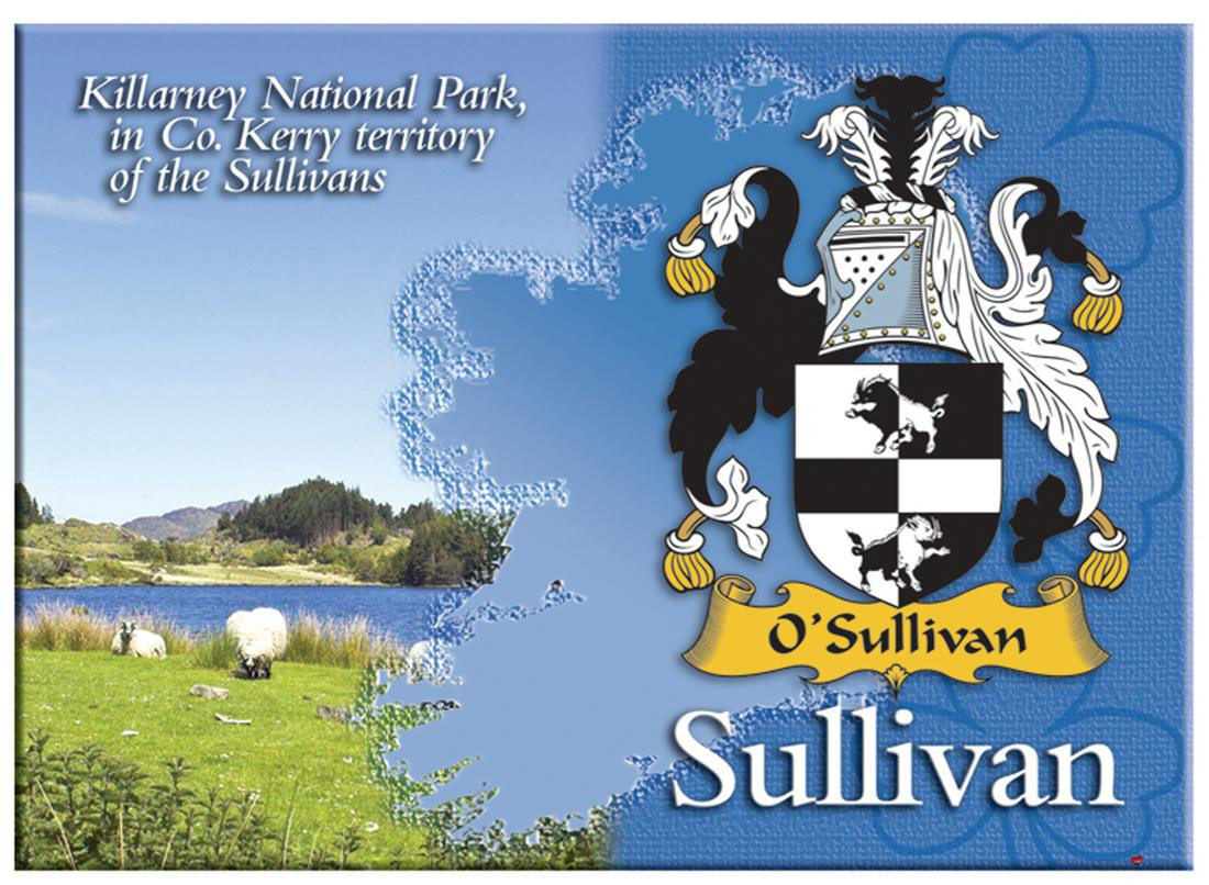 Sullivan Irish Clan Metallic Picture Fridge Magnet, Gift From Ireland