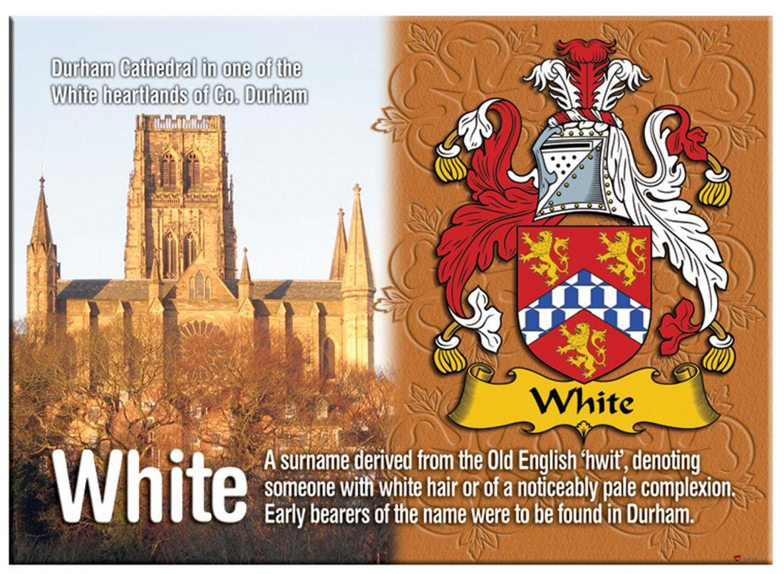 White English Ancestry Family Name Metallic Picture Magnet Souvenir Gift