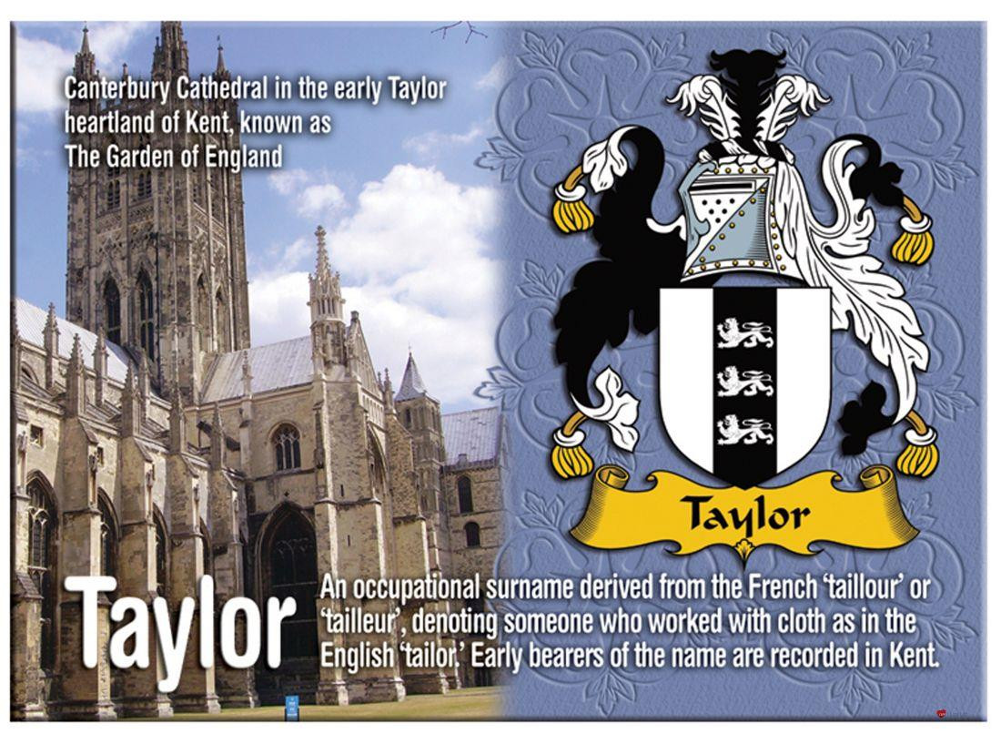 Taylor English Ancestry Family Name Metallic Picture Magnet Souvenir Gift