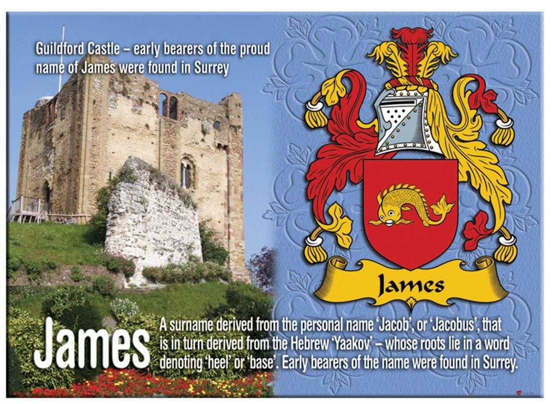 James English Ancestry Family Name Metallic Picture Magnet Souvenir Gift