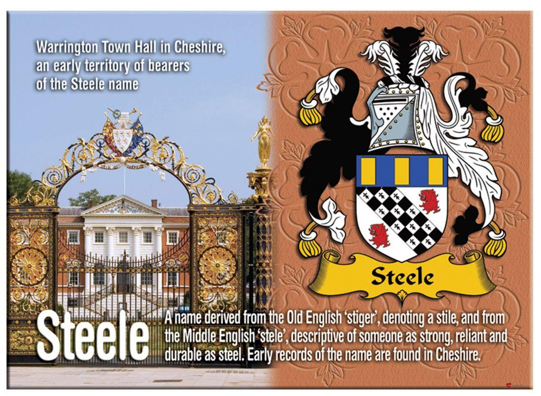 Steele English Ancestry Family Name Metallic Picture Magnet Souvenir Gift