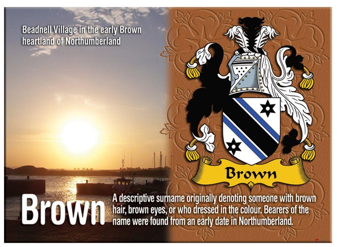 Brown English Ancestry Family Name Metallic Picture Magnet Souvenir Gift