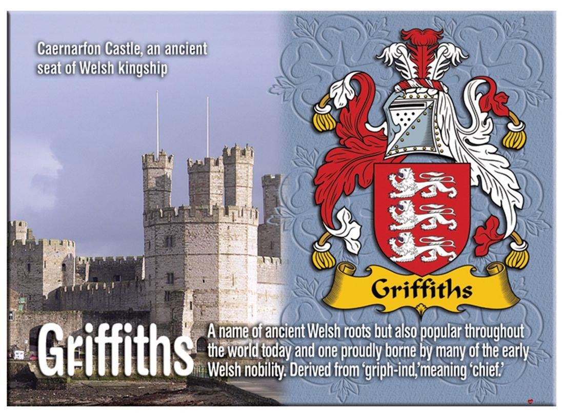 Griffiths English Ancestry Family Name Metallic Picture Magnet Souvenir Gift