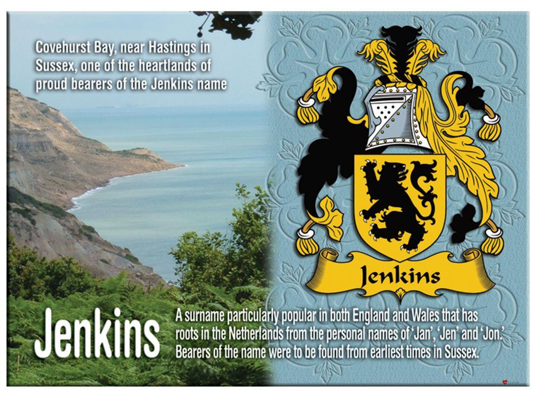 Jenkins English Ancestry Family Name Metallic Picture Magnet Souvenir Gift