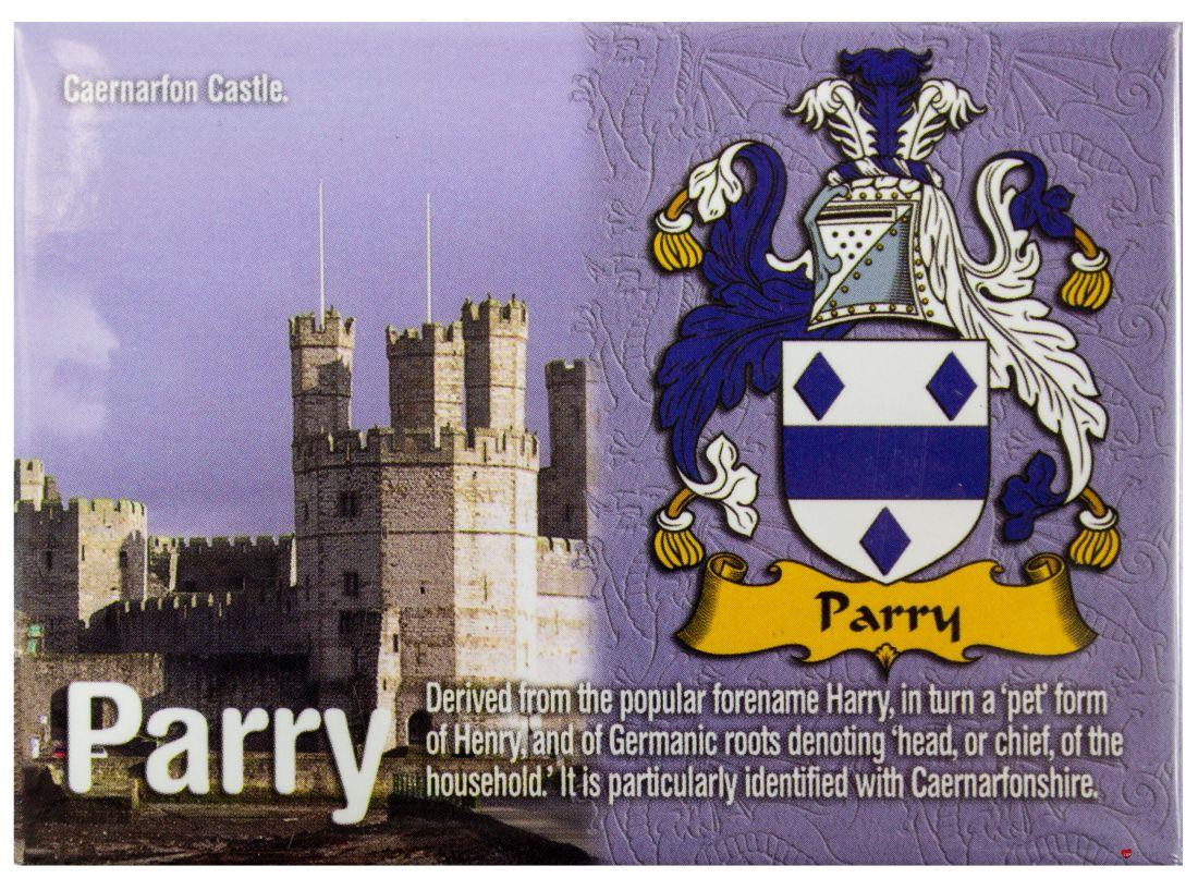 Parry Welsh Ancestry Family Name Metallic Picture Magnet