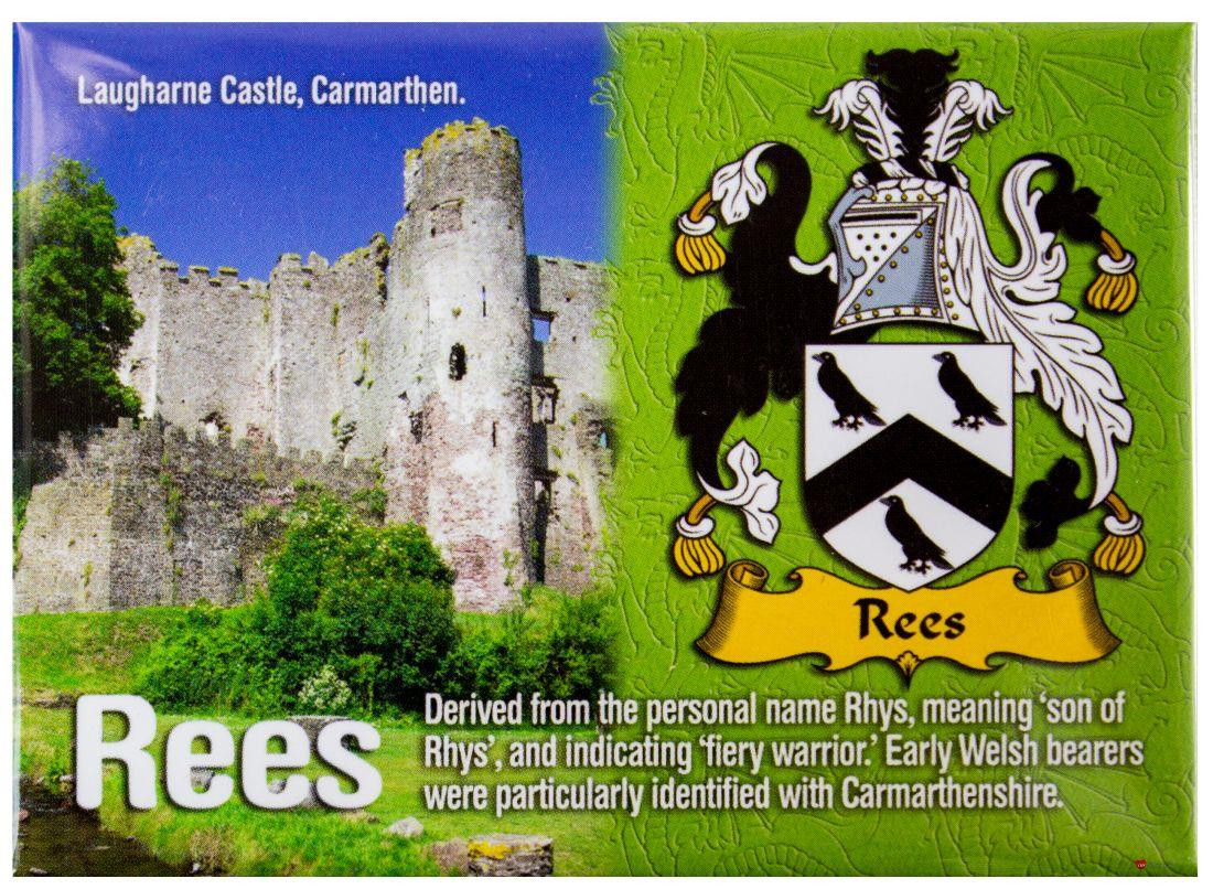 Rees Welsh Ancestry Family Name Metallic Picture Magnet