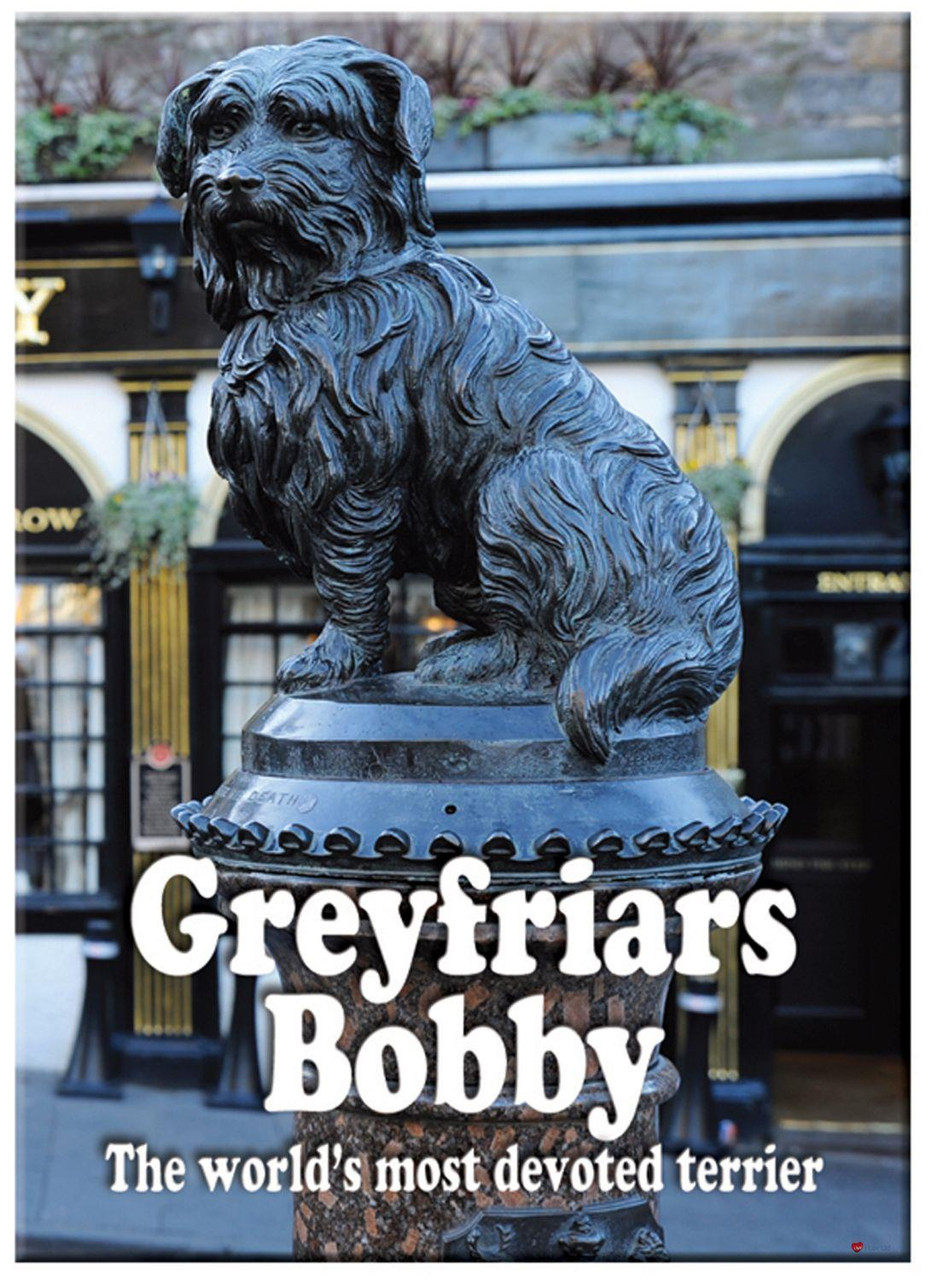Greyfriars Bobby Dog Portrait Scenic Metallic Magnet