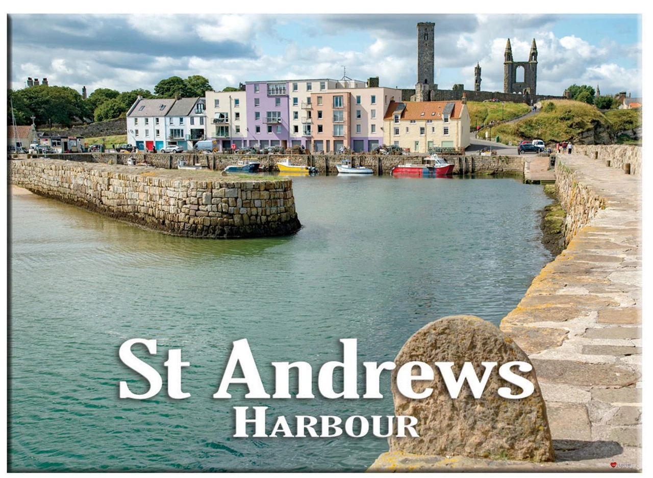 St Andrews Harbour View Scenic Metallic Magnet