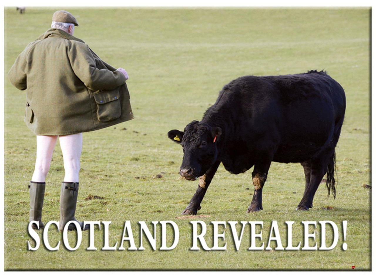Scotland Revealed! Dangerous Sports Metallic Magnet