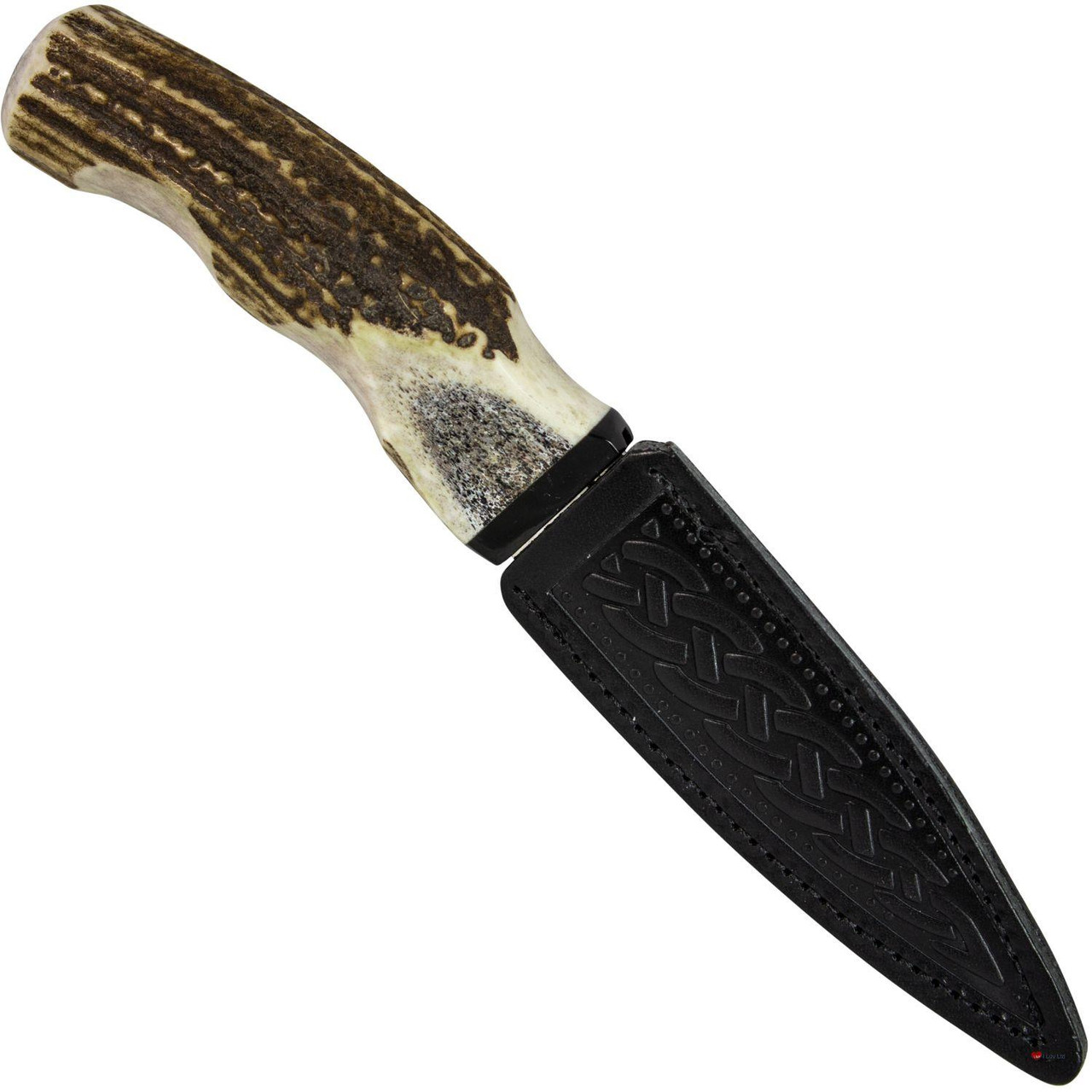 Horn Sgian Dubh With Buffalo Cap