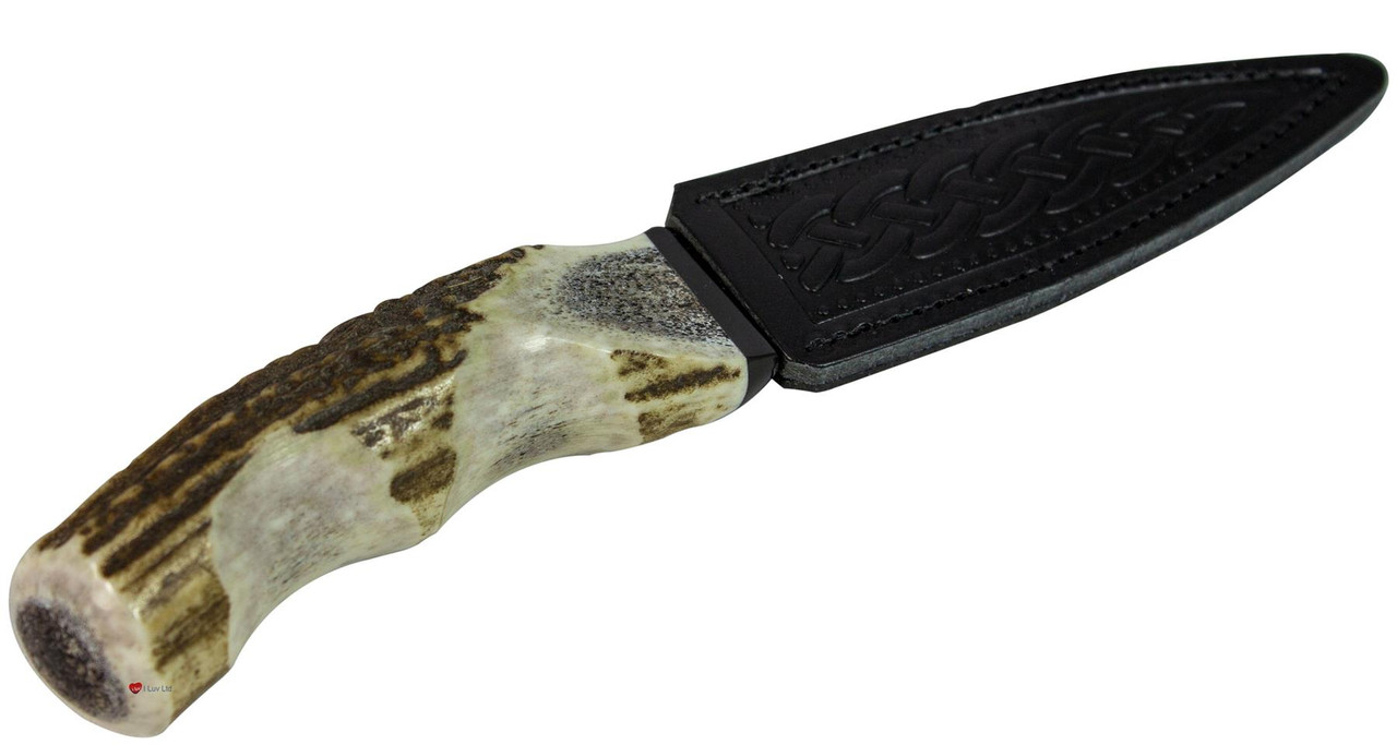 Horn Sgian Dubh With Buffalo Cap