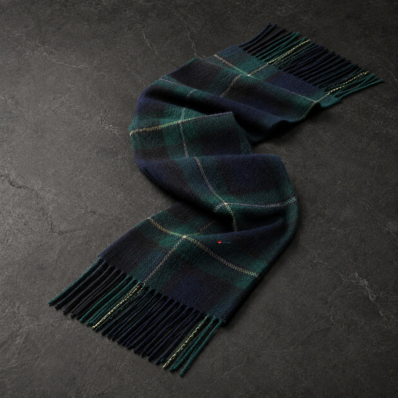 Cashmere Clan Scarf Campbell of Argyll Modern