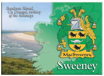 Sweeney Irish Clan Metallic Picture Fridge Magnet, Gift From Ireland