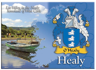 Healy Irish Clan Metallic Picture Fridge Magnet, Gift From Ireland