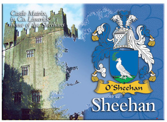 Sheehan Irish Clan Metallic Picture Fridge Magnet, Gift From Ireland