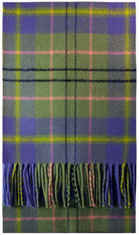 Taylor Ancient Tartan Brushwool Scarf Scottish Clan