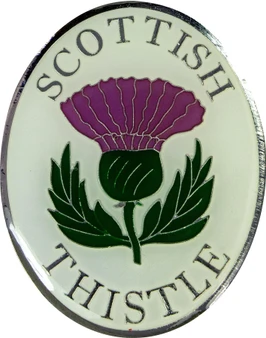 Scottish Thistle Fridge Magnet Scottish National Flower