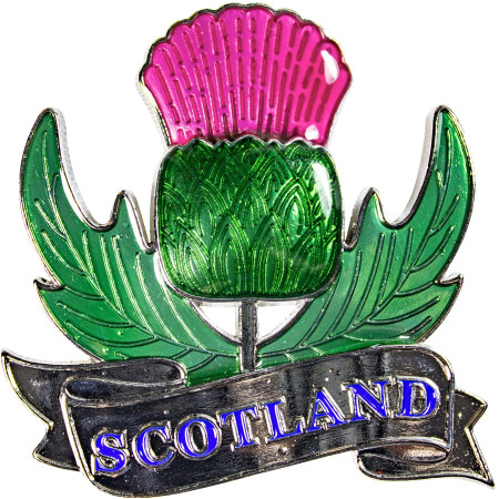 Enamel Fridge Magnet Scottish Thistle with Scotland Banner Enamel Fridge Magnet Scottish Thistle with Scotland Banner