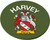 Harvey English Ancestry Family Name Round Cork Coasters Set of 4