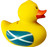 Scotland Yellow Duck Money Box Saltire