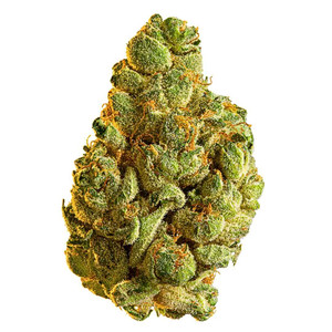 Indica HYBRID 26.43% - GORILLA GLUE #4