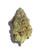 Sativa Dominant Tropicana Banana 26.45%