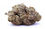 Indica Dominant Oreo Blizzard 28.51%