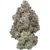Pink Certz HYBRID 26.92%