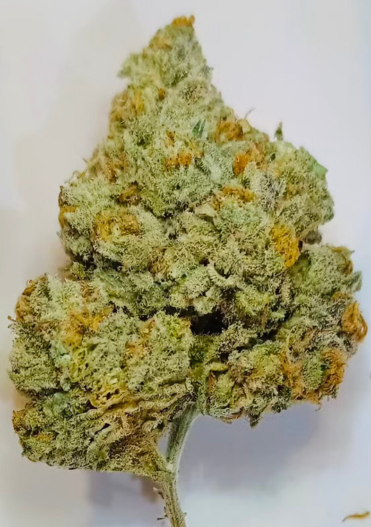 INDICA HYBRID 26.58% - JELLY BREATH