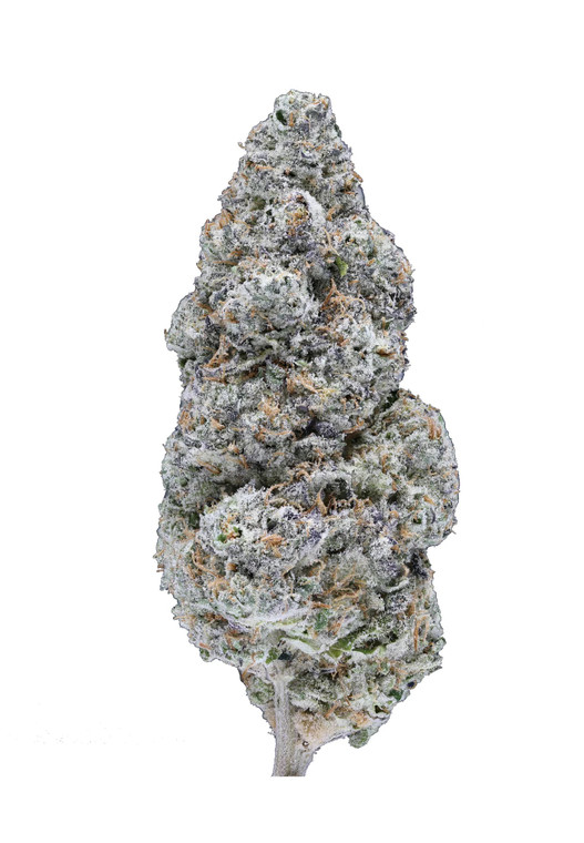 INDICA 32.03% - MULE FUEL