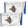 고양이용 스트롱홀드 2.6-7.5kg - 블루 20% 할인 - Atlantic Pet Products