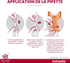 Advantix pour les chiens