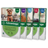 20 % du traitement antipuces Advantage Spot-On pour chats et chiens chez Atlantic animalerie en ligne