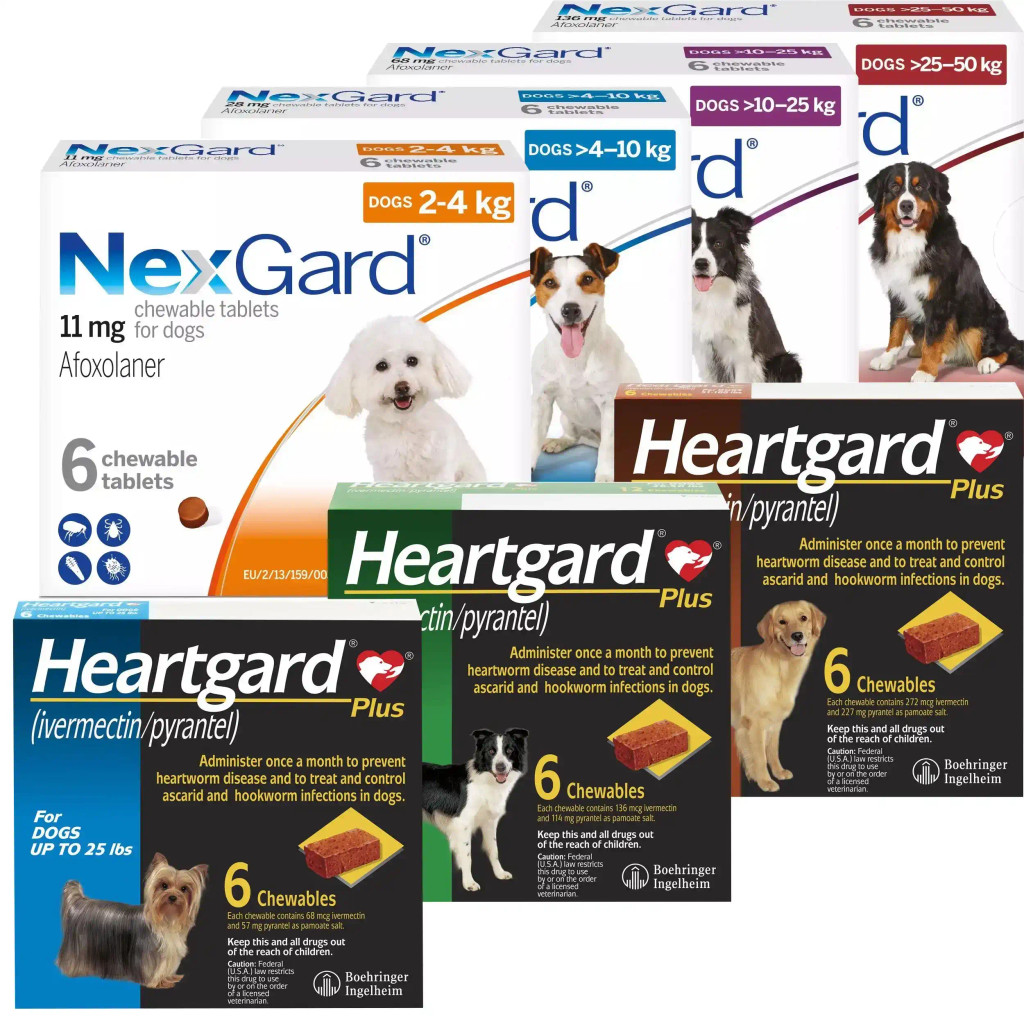 NexGard & HeartGard PLUS 6Month Bundle for Dogs Comprehensive Flea