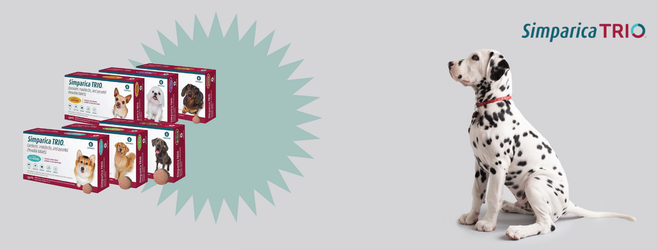 Simparica Trio, world's #1 all-in-one parasite protection for dogs 