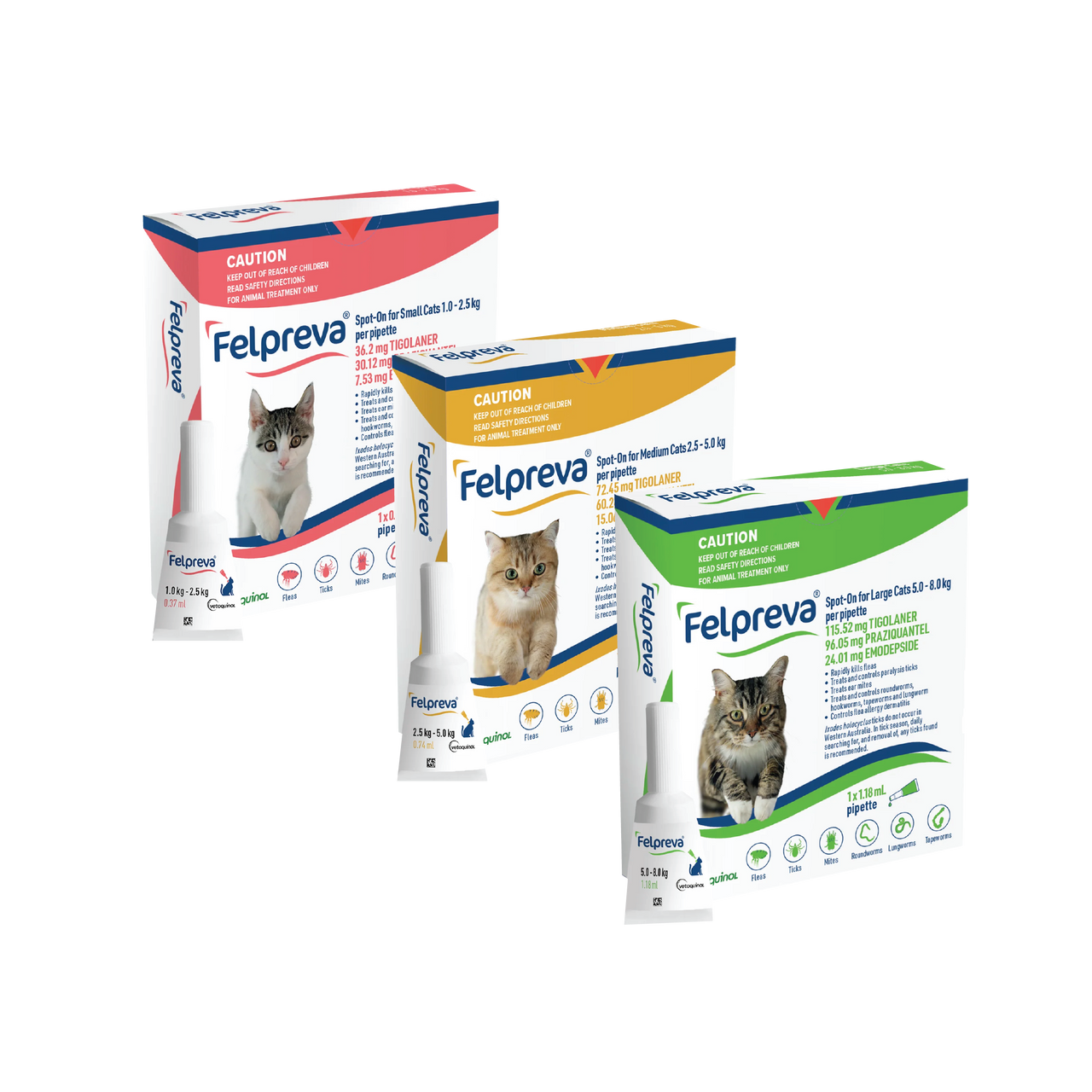 Felpreva Spot-on pour chats