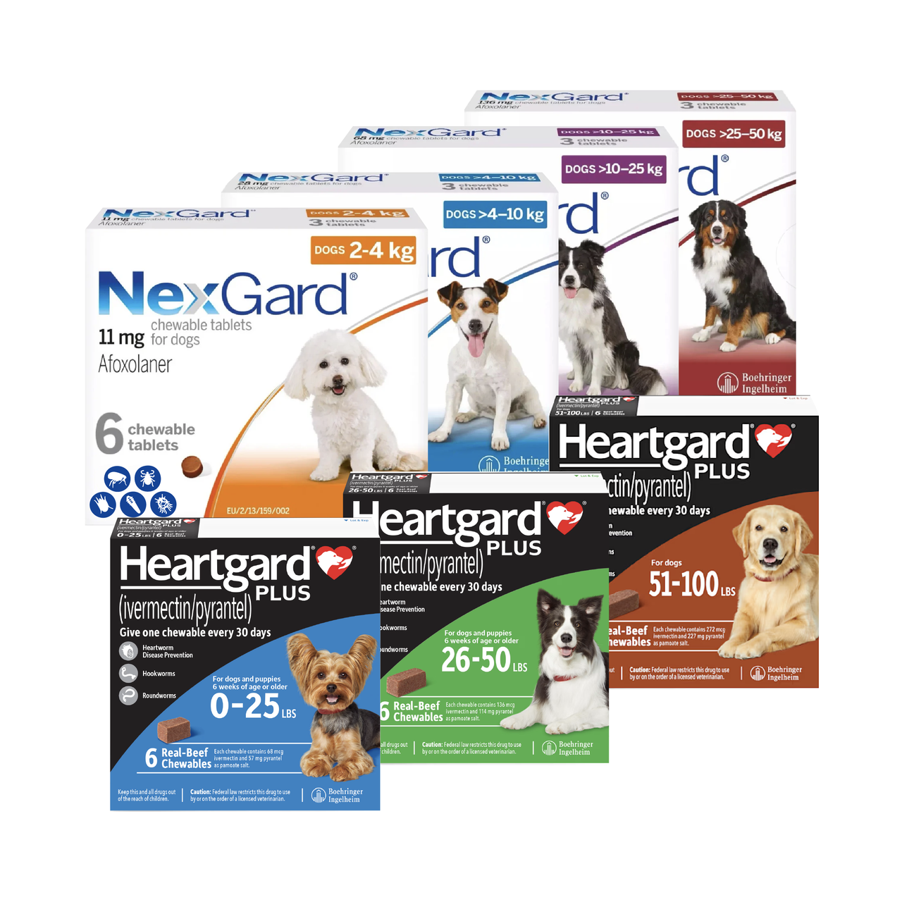 NexGard HeartGard PLUS Combo 6-Month Bundle Atlantic Pet