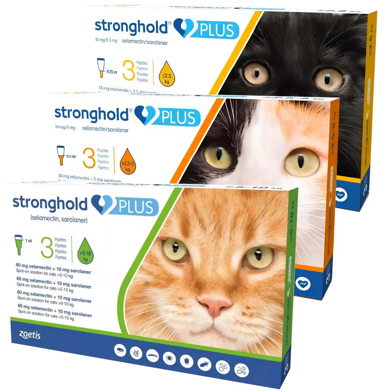20% Rabatt auf Stronghold PLUS für Katzen bei Atlantic Pet Products