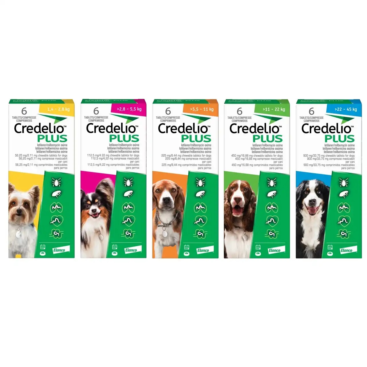 20% הנחה על Credelio PLUS לכלבים באטלנטיק מוצרים לחיות מחמד