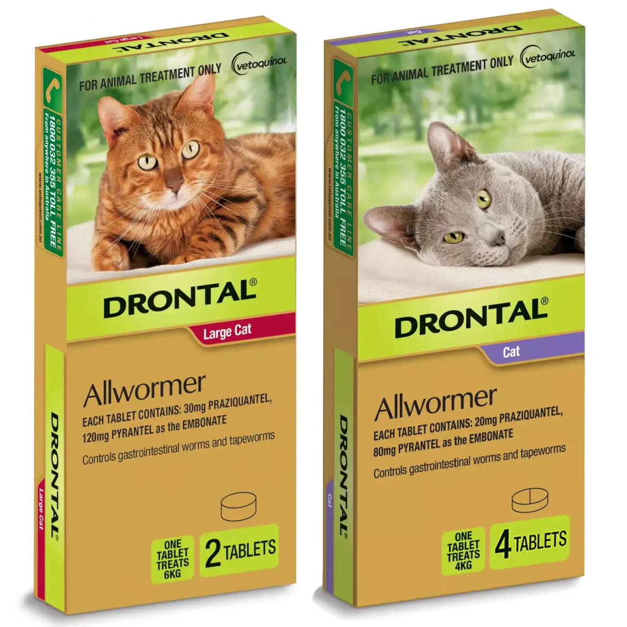 Drontal Comprimés vermifuges pour chats : Traitement vermifuge de première  qualité pour les chats Atlantic animalerie en ligne