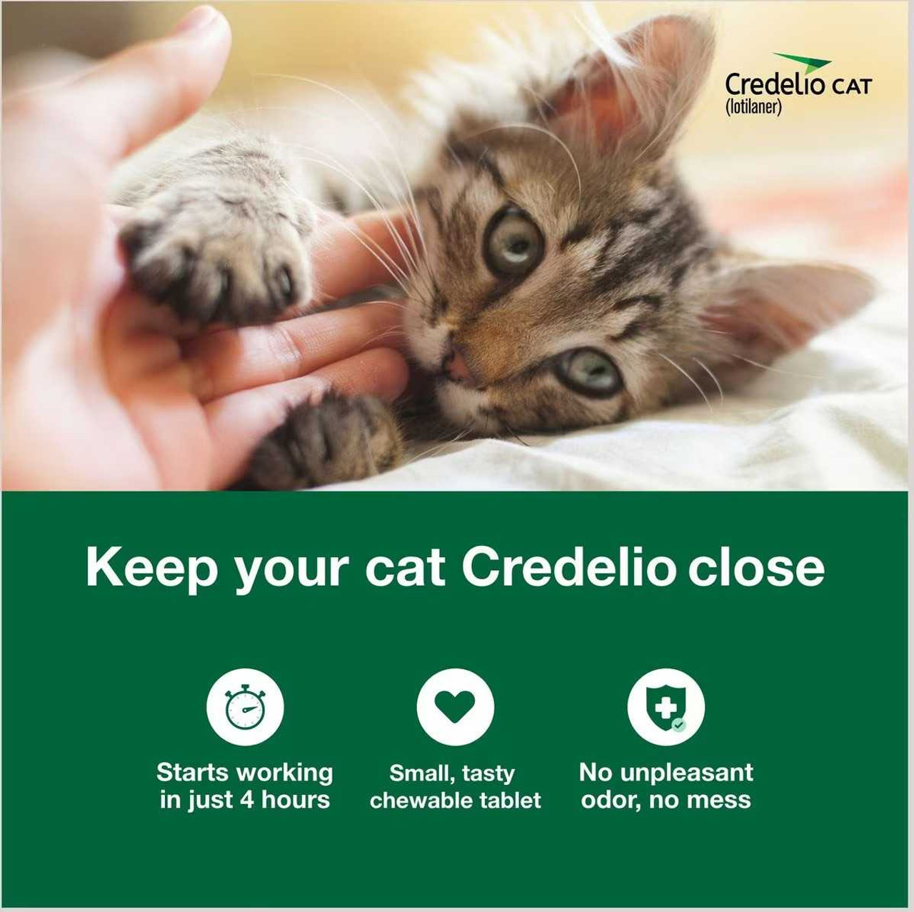 Credelio för katter - tabletter mot loppor och fästingar