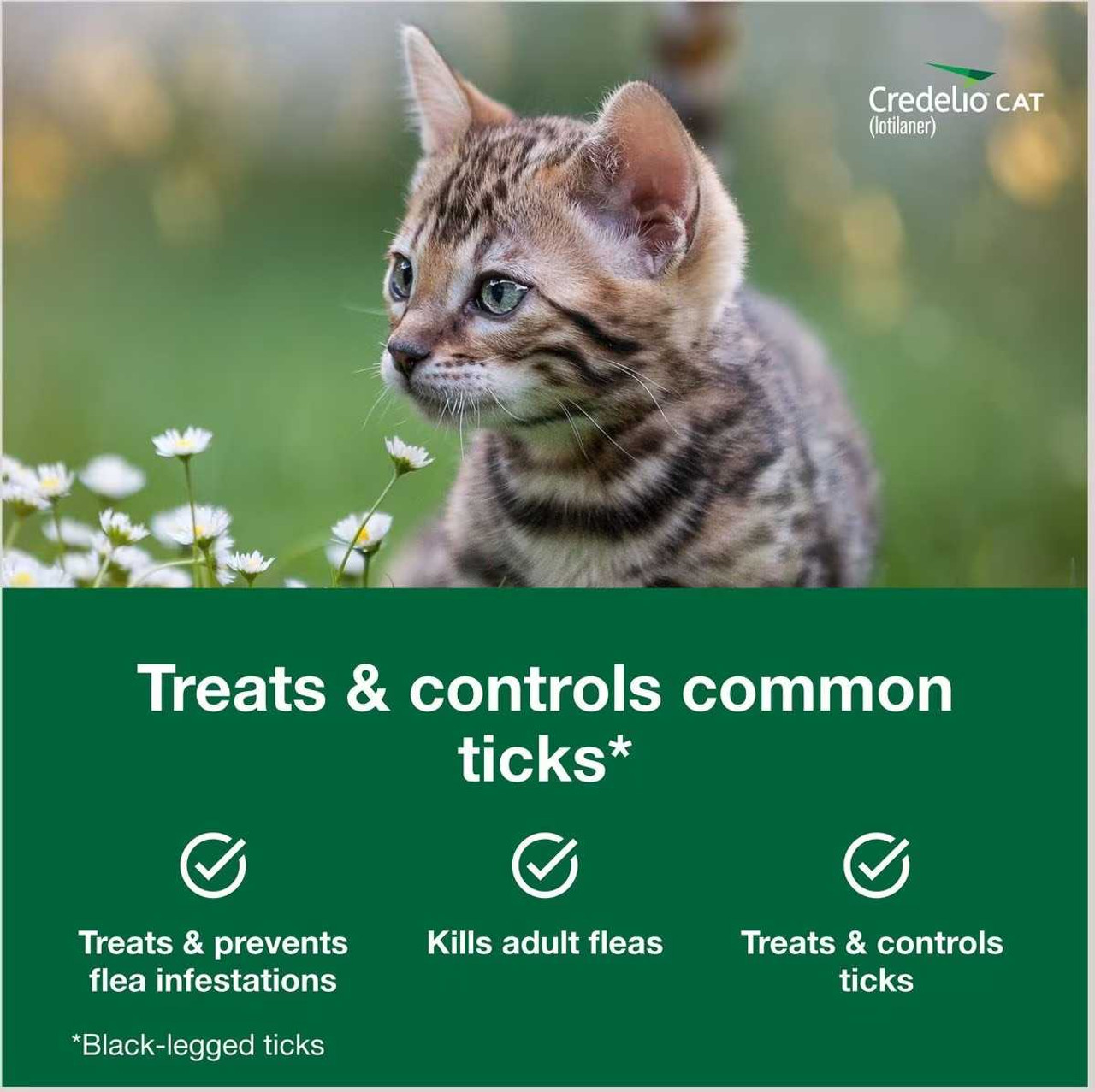 Credelio for Cats - Flea and Tick Tablets